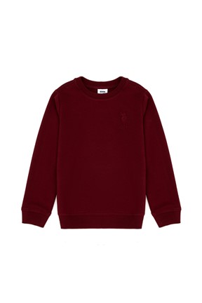 U.S. Polo Assn. Erkek Cocuk Sweatshirt

