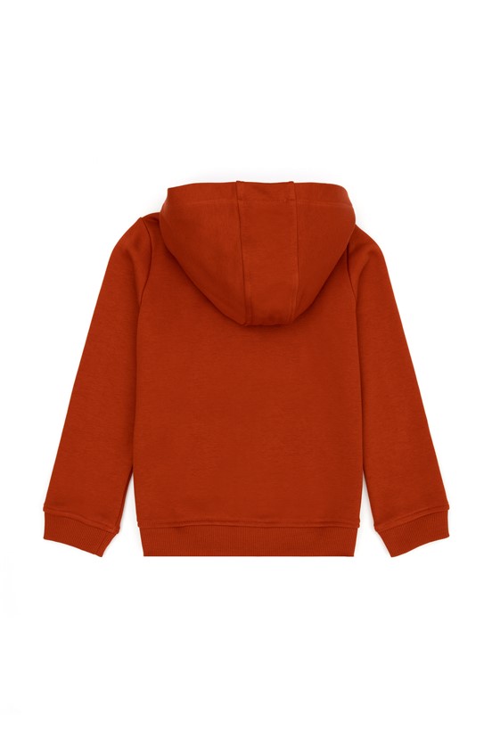 U.S.Polo Assn. Erkek Çocuk Sweatshirt
