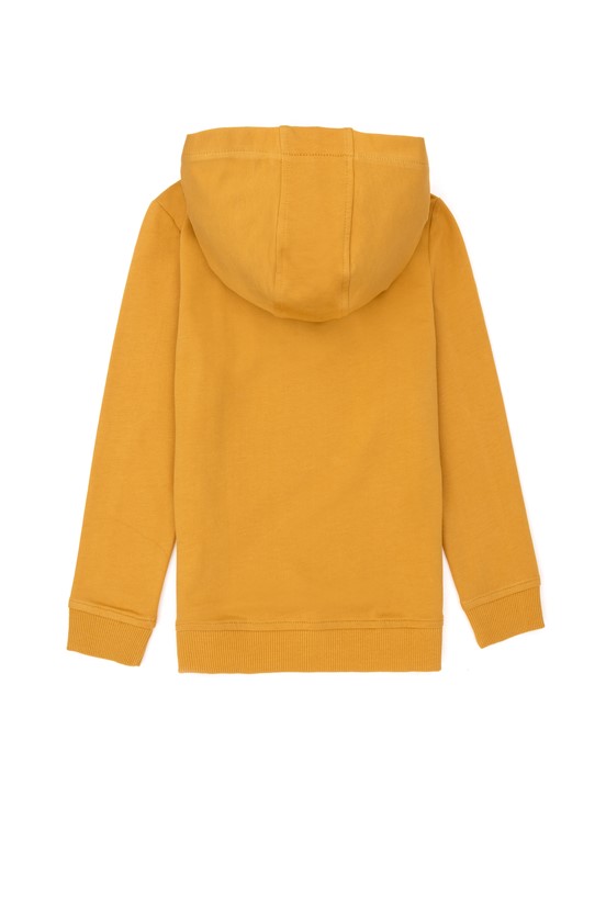 U.S. Polo Assn. Erkek Cocuk Sweatshirt
