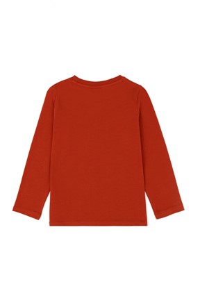 U.S. Polo Assn. Erkek Çocuk Sweatshirt

