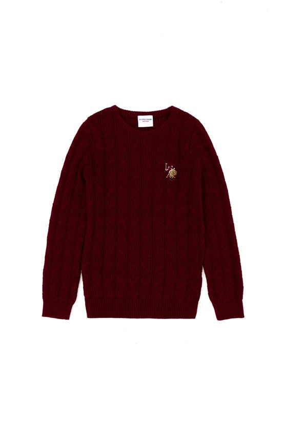 U.S. Polo Assn. Erkek Çocuk Triko Kazak

