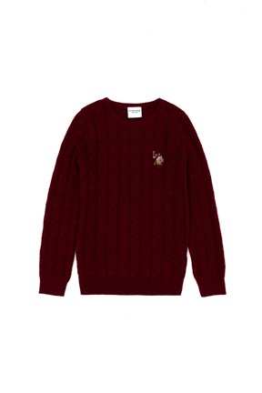 U.S. Polo Assn. Erkek Çocuk Triko Kazak

