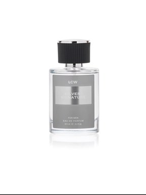 Silver Signature Erkek Parfüm 100 ml KARIŞIK